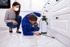 Best Pest Prevention Services  in Prairie Grove, AR